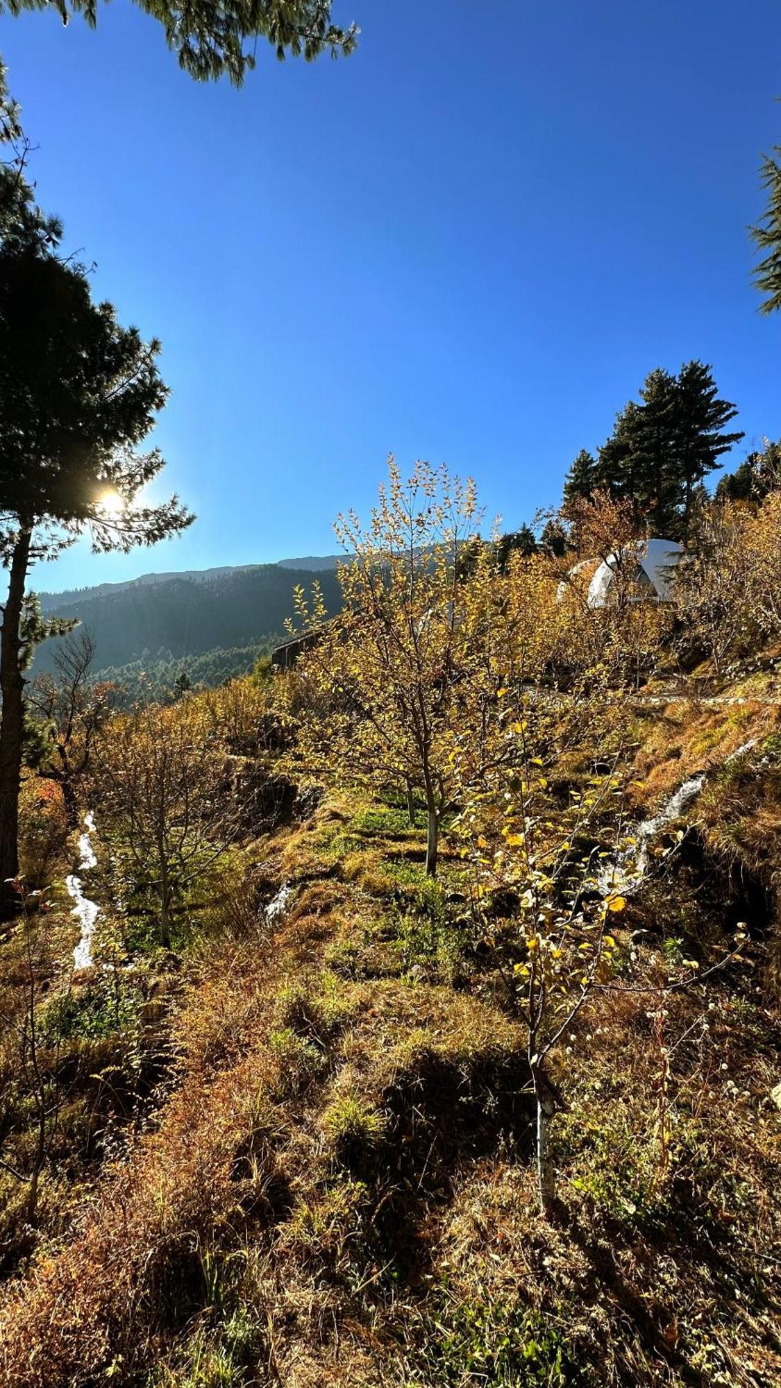 Fayul Retreat - India Highest Glamp And Ecoluxury Stay 卡尔帕 外观 照片